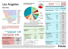 LA County Profile